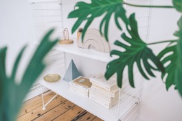 Monstera-Pflanze-Regal-Skandinavisches-Design-Homeinterior-Fotograf-Sarah-Buth 