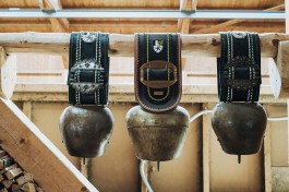 Kuhglocken-Schlappin-Klosters-Reportage-Rudolfwötzel-Sarah-Buth 