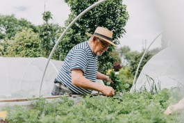 Gartenarbeit im Schrebergarten in Hamburg 