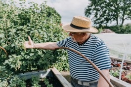 Manfred zeigt seinen Joahnnisbeerstrauch im Hamburg Schrebergarten 
