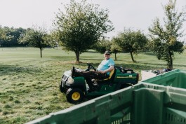Das Geld hängt an den Bäumen Fotoreportage Apfelernte 