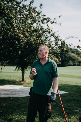 Das Geld hängt an den Bäumen Fotoreportage Apfelernte 