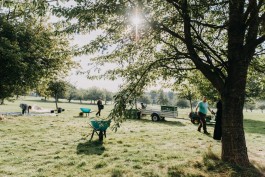 Das Geld hängt an den Bäumen Fotoreportage Apfelernte 