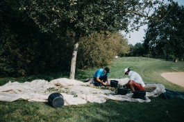 Das Geld hängt an den Bäumen Fotoreportage Apfelernte 