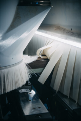 Sarah Buth Portrait und People Fotograf aus Hamburg 