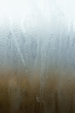 Sarah Buth Fotograf Hamburg Porträt 